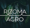 Rizoma